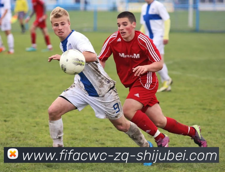 世界杯直播APP 封面图