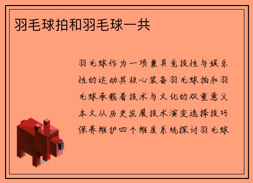 羽毛球拍和羽毛球一共